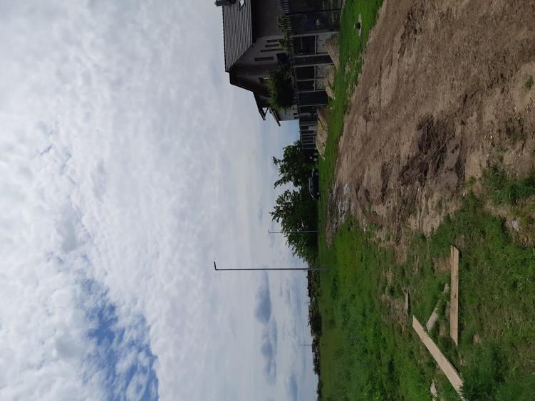 Dumbravita teren 699 mp 135000 euro