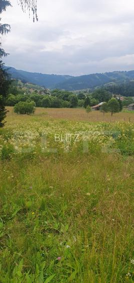 Teren 7.671 mp, (4.044 mp intravilan), zona Panaci, Vatra Dornei - 5