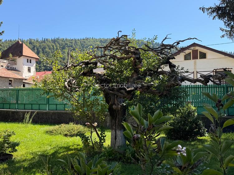 Vilă istorică de vânzare Castel Aura Buzescu Bușteni str. Victoriei nr. 11