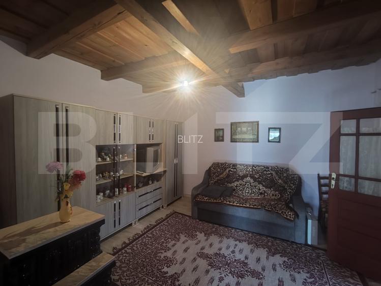 Casa de vanzare in Sinicolau Roman cu teren generos de 1200mp - 7