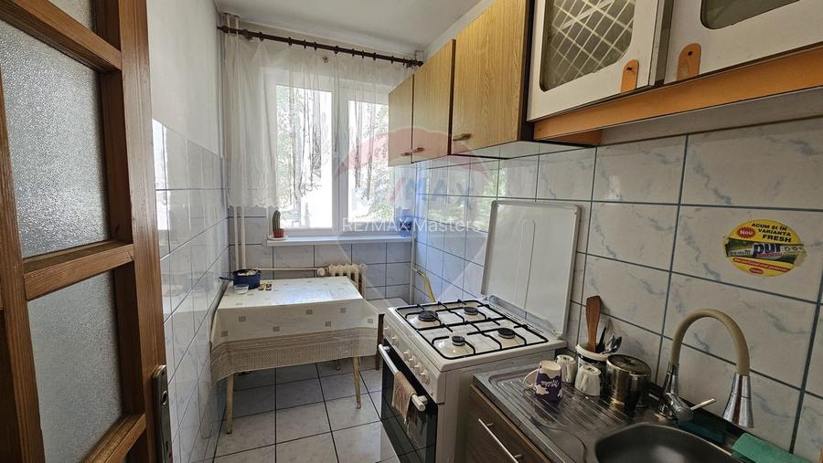 Apartament cu 2 camere, etaj 1 în zona George Enescu, Suceava - 12