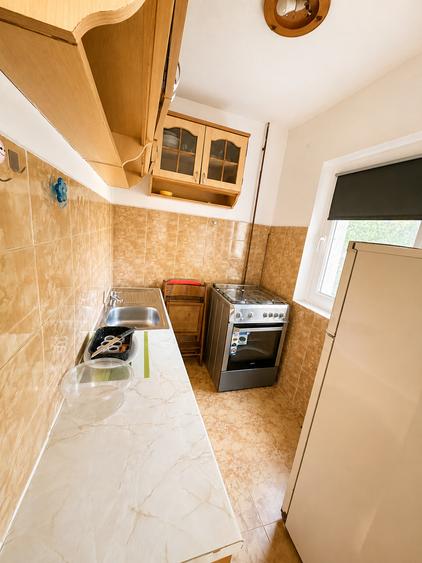 Apartament cu o cameră Bucovina