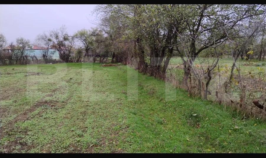 Ocazie investiție! Teren intravilan cu acces stradal, Petresti Dambovita