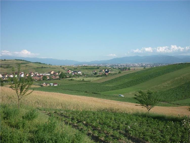 Teren 5000mp cu livada in Sura Mare - panorama deosebita