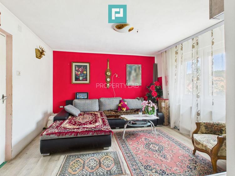 Casă renovată cu teren generos lângă Ususău - 14