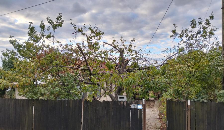 7089 mp la DN1B, intravilan cu deschidere 17,54m, Valea Calugareasca