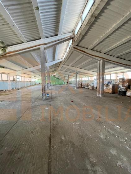 Hală de Vânzare Ovidiu | Teren 3000 mp | Investiție