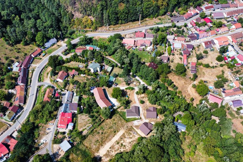 Teren 4.173 mp, front 60 m – Văliug, aproape de Lacul Gozna - 6