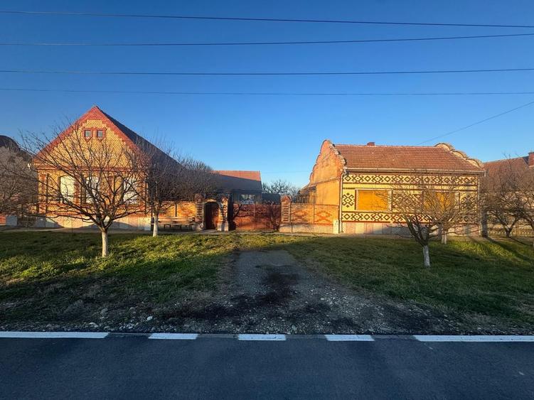 De vanzare proprietate in Belint, jud. Timis – 2 case si teren 7.805 mp