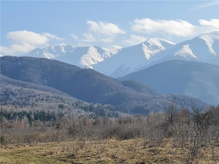 Teren intravilan 2500mp pe Valea Avrigului,optim casa de vacanta