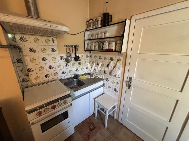 Casă individuală de vânzare în Turnișor | Curte superbă 585 mp - 28