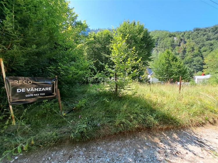 RECO  Casa Boga - 7