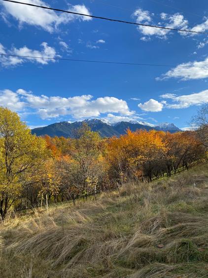 Teren intravilan Sohodol, priveliste catre Bucegi, Piatra Craiului,Magura Codlei