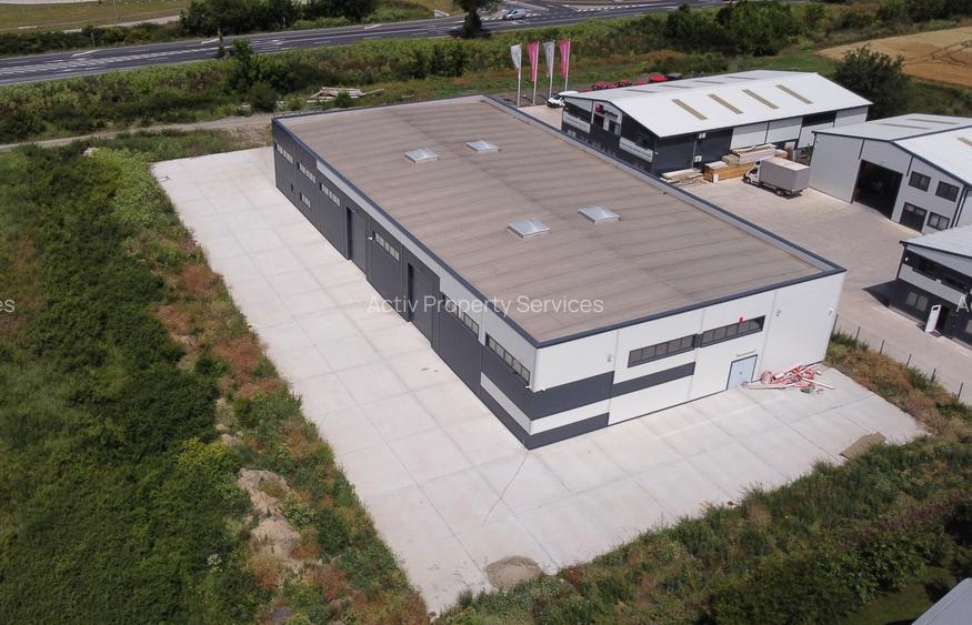 Hală industrială nouă depozitare de inchiriat Zona Industrială Sânandrei DN69 - 3