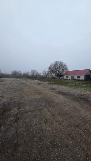Teren intravilan + spații comerciale Odoreu, zonă centrală