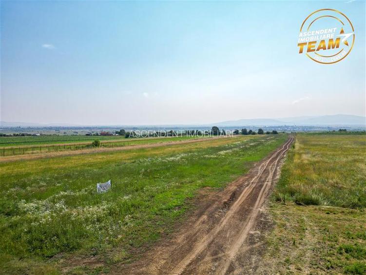 2 terenuri intravilane construibile aproape de Sfantu Gheorghe - 14