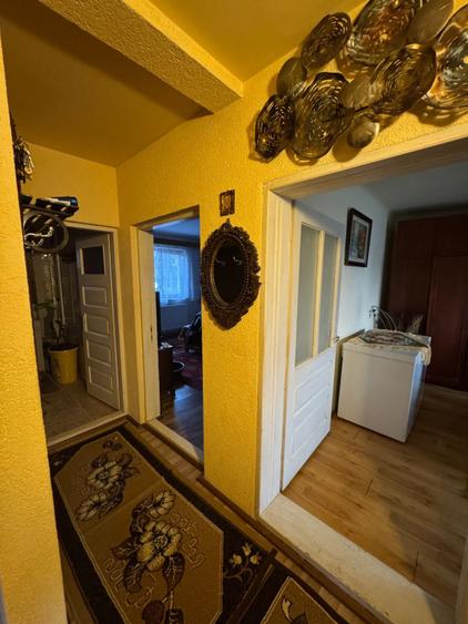 Casă 100 mp în Satul Nou de Sus, 8 ari, garaj