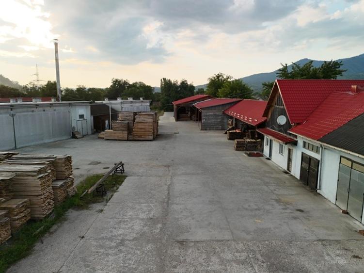 Fabrică de cherestea complet utilată & centru logistic