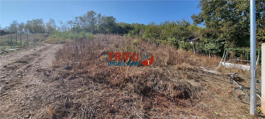 Teren 410 mp de vanzare in zona Alba Micesti partea stanga
