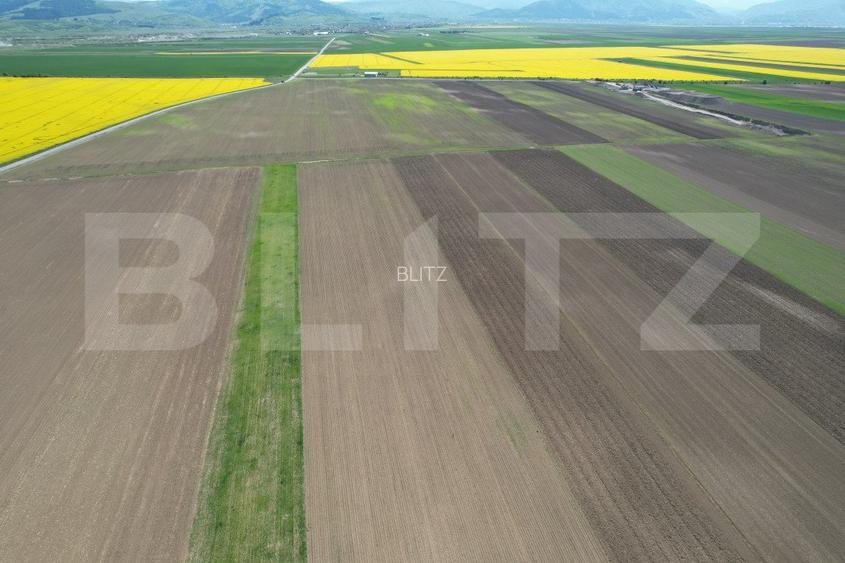 Teren extravilan, 17700mp, zona Prejmer - 13