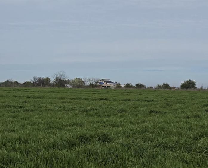 Teren de vanzare Agigea zona Golful Pescarului cu PUZ