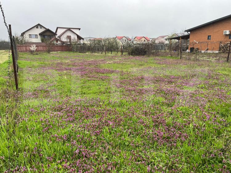 Teren 650 mp, front 13 ml, Selgros - zona Little Town