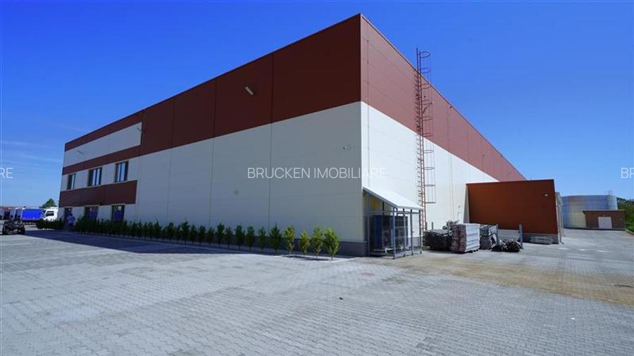 CLADIRE DE BIROURI SI HALA INDUSTRIALA - BORS, BIHOR - 21