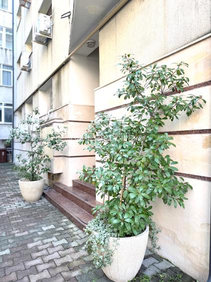 Primaverii / Apartament cu View Supeb / Centrala Proprie / Parcare Subterana - 3