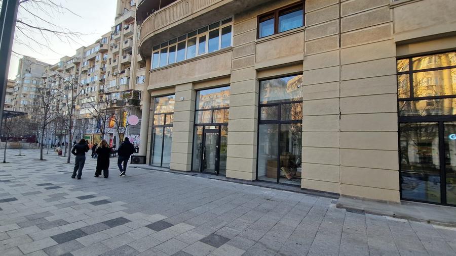 DECEBAL-- Alba Iulia 230 mp -PRET 5.000 EURO