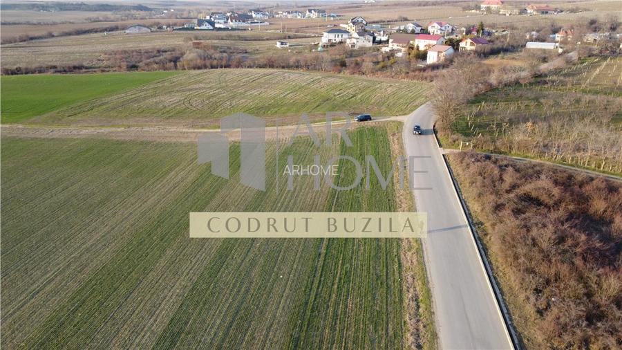 Teren intravilan 2500mp, Bucov - 3