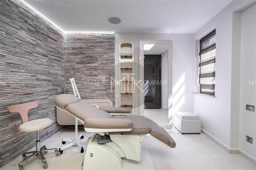 Proprietate premium cu curte – ideala pentru business-uri | LACUL TEI