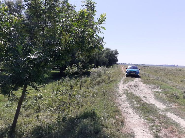 OCAZIE; teren MAHMUDIA 12euro/m.p. Suprafata 5000 m.p. Deschidere la Dunare 48m