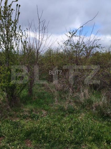 Teren INTRAVILAN 8280 mp, zona Laminorului - 3