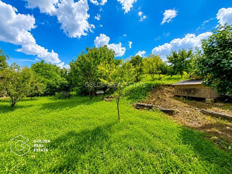 Casa P+M, teren 1440 mp, oras Lipova - 3