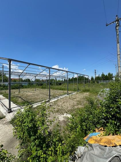 Teren intravilan de vanzare, 3000 mp, Izvoare, Bacau
