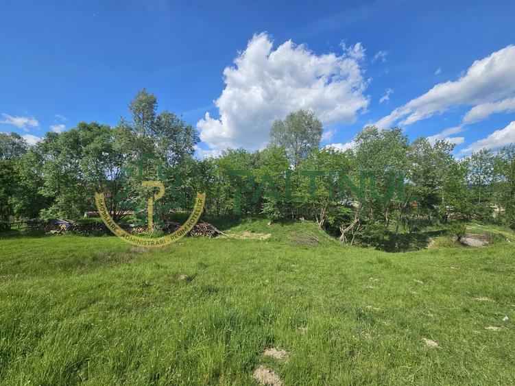 Teren de vânzare în Racovița, Sibiu – Valea Lupului