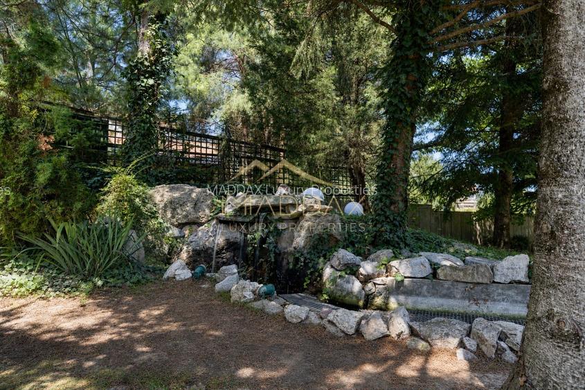 Vila Exclusivista cu 5 camere *3000mp curte si deschidere la lac* // Snagov - 24