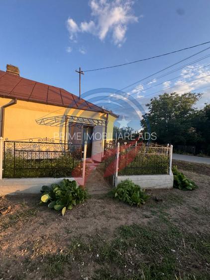Casă de vânzare în Comuna Orodel – proprietate îngrijită, gata de locuit și cu p - 20