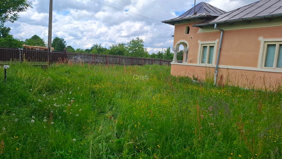 Casa Moraresti 3 camere și sau teren intravilan 9092 mp - 16