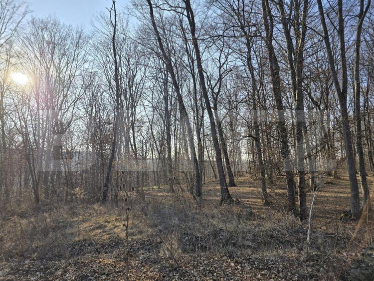 Teren cu sufrafata de 1100 mp in Padurea Faget
