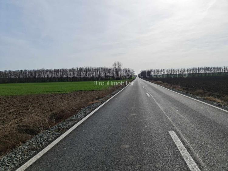 Vânzare teren agricol comasat plus microferma direct la sosea - 2