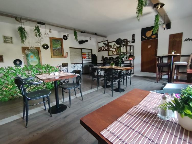 Restaurant, Delfinului, parc Ostrov