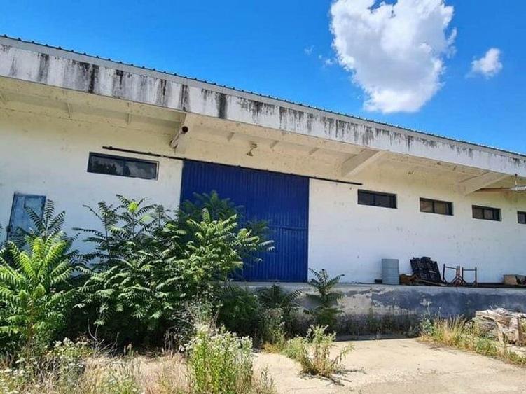 Hala de inchiriat Sannicolau Mic, Arad