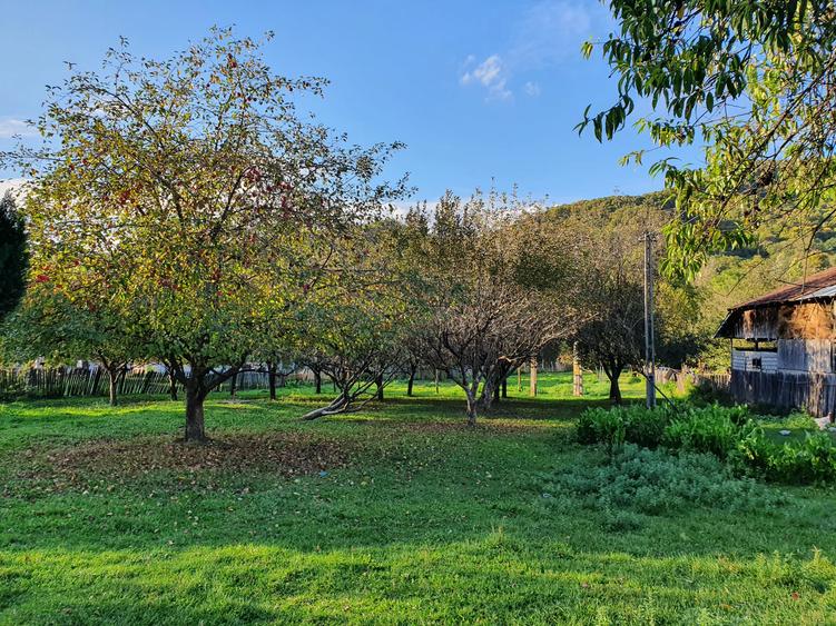 Puciosa Moreni Valea Lunga Sat Izvoru 20000mp teren de vanzare