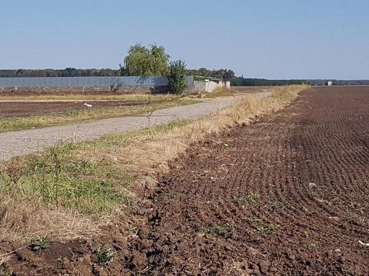 Teren intravilan de vânzare Brănești – DN3, deschidere 60 ml investie