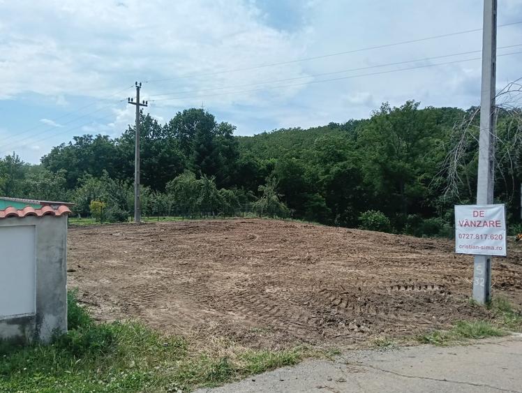 Intravilan Tiparesti, relaxare aproape de padure