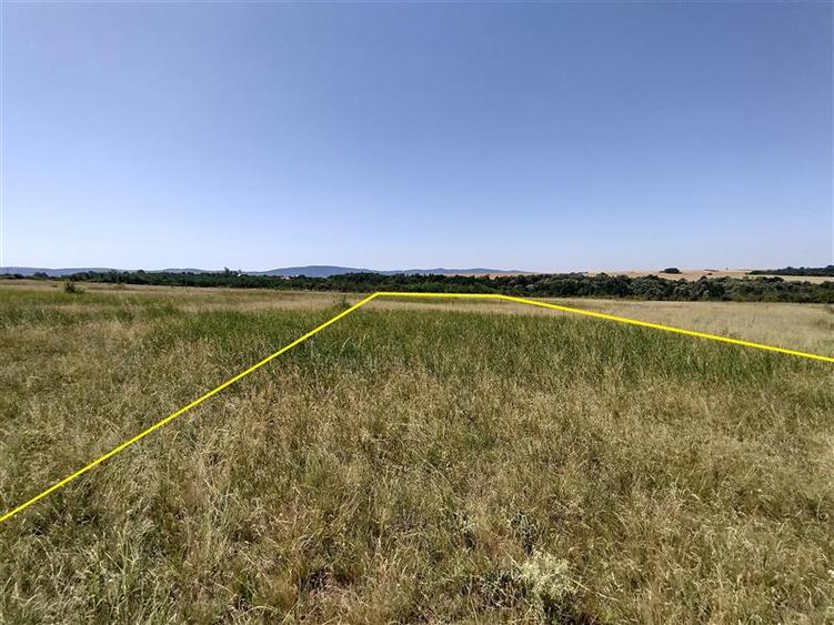 Nicolint, 2 Terenuri Extravilane, Arabil, 1.45 Hectare