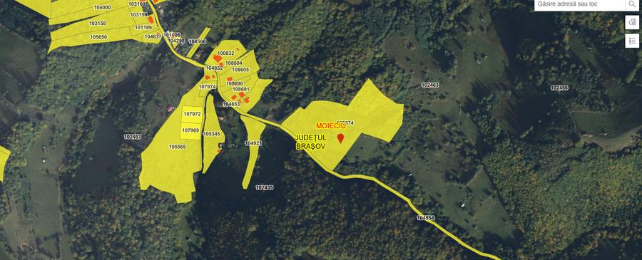 Investitie Smart in Moieciu, 3.1 ha, Panoramă 360 Bucegi - Piatra Craiului