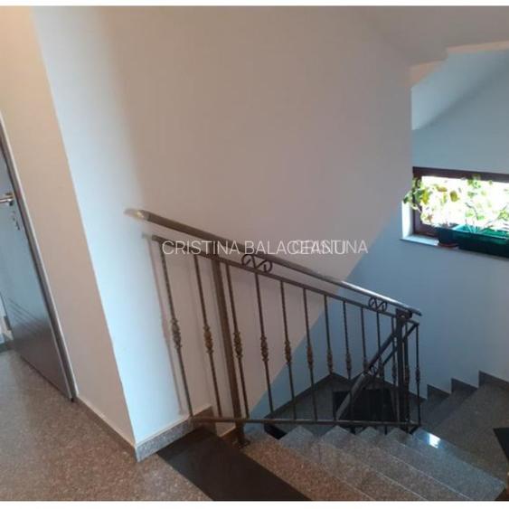 Studio  modern, Domenii  - 7