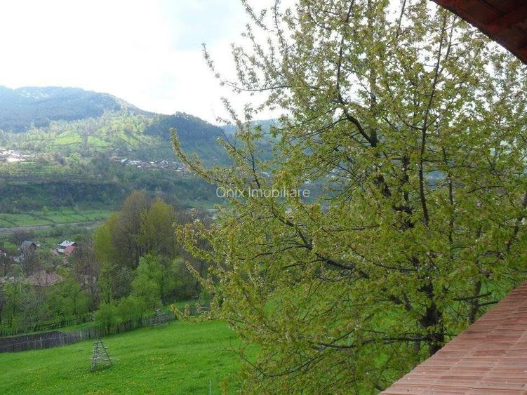 Vila deosebita cu 7 camere si 5 bai, 4290 mp teren, vedere panoramica – Valea Do - 14